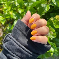 Canary Chic