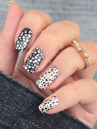 Cheetah Spots