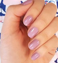 Manchester Mauve