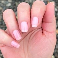 Peony Pink