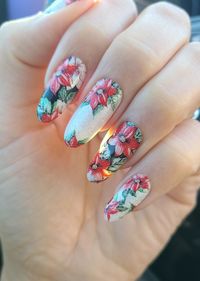 Pretty Poinsettia