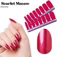 Scarlet Macaw